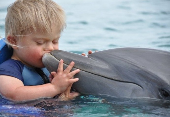 Meurer Stiftung unterstützt 3 kranke Kinder, bzw. Jugendliche bei einer Delphin-Therapie