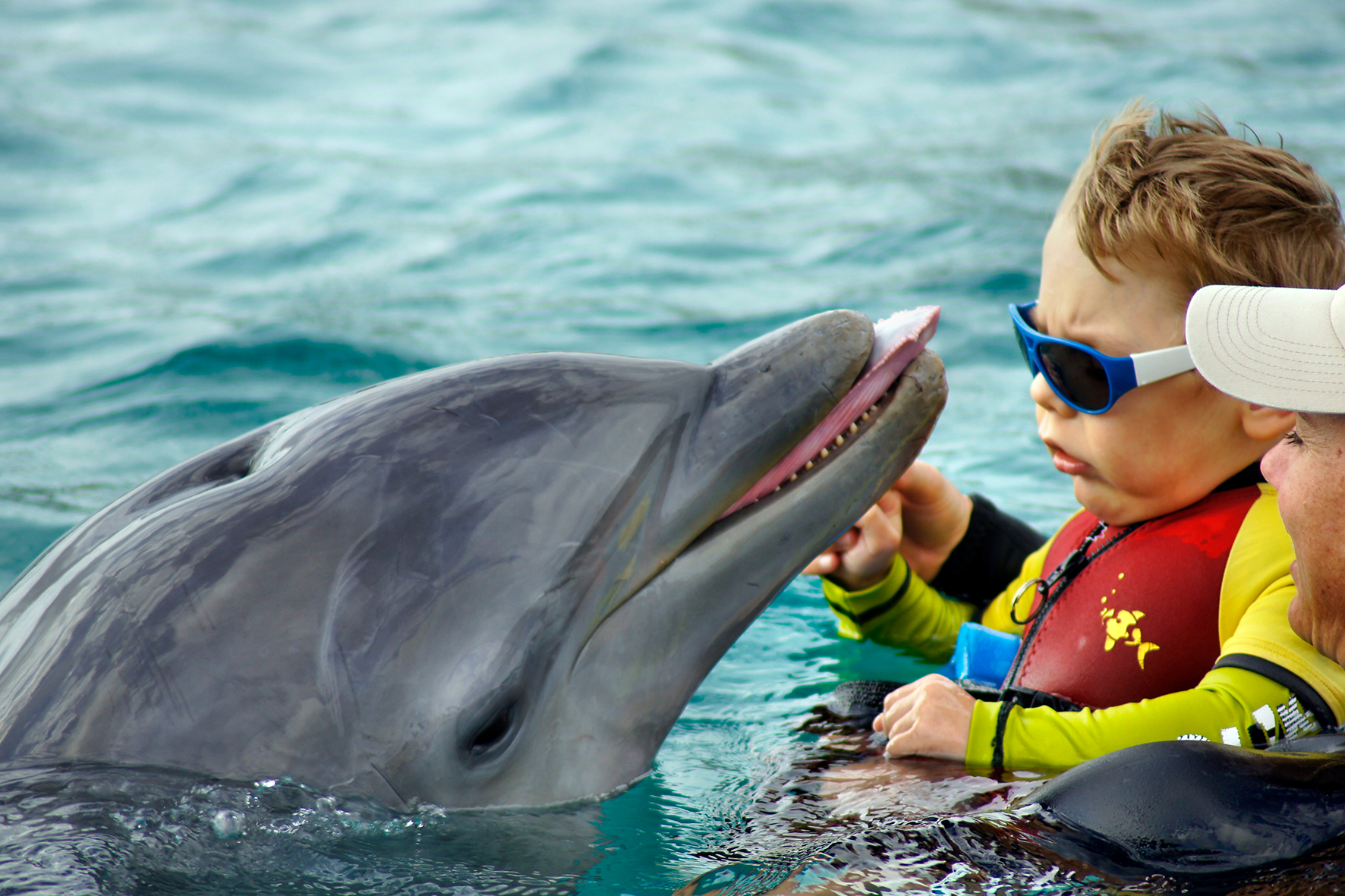 Förderungen für Delphintherapien