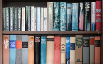 Bücherbox für die öffentliche Bücherei Fürstenau in der IGS